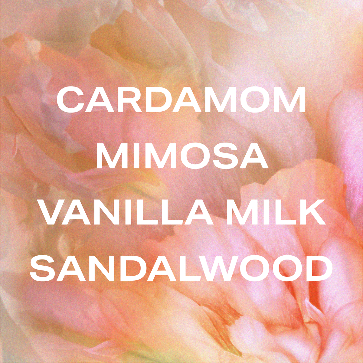 not your baby fragrance ingredients